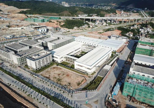 龍華這份 脫貧答卷 背后的故事,點開看