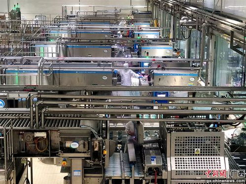 廣西 東盟經(jīng)開(kāi)區(qū) 企業(yè)鉚足干勁 力爭(zhēng) 開(kāi)門紅