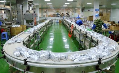 【茗邊聚焦】梧州六堡茶系列報道之三中茶窖藏六堡茶:一杯六堡茶,半部外貿(mào)史