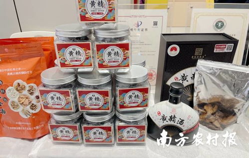 賀州市 桂字號 農(nóng)特產(chǎn)品在廣州集中亮相